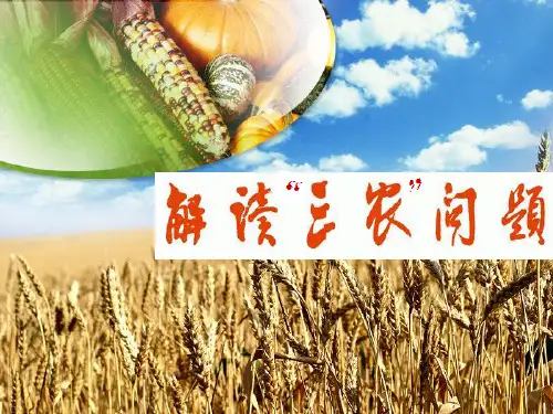 解读“三农”问题PPT课件