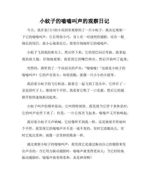 小学三年级作文小蚊子的嗡嗡叫声的观察日记
