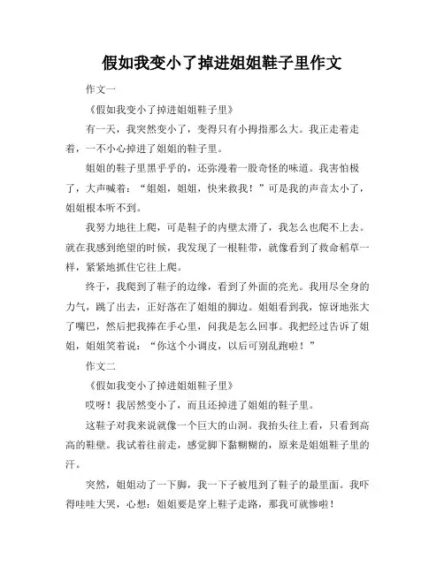 假如我变小了掉进姐姐鞋子里作文