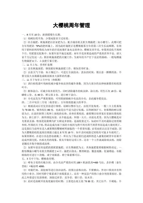 大樱桃周年管理