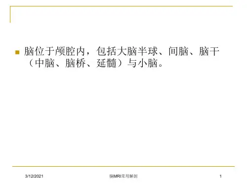 脑MRI常用解剖培训课件