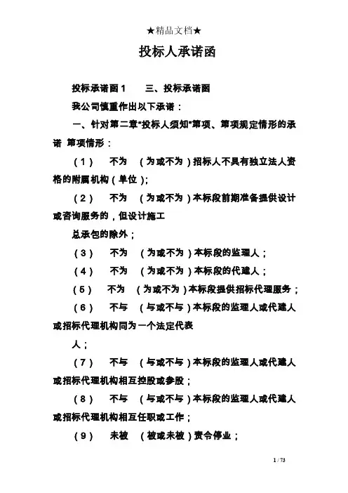 投标人承诺函