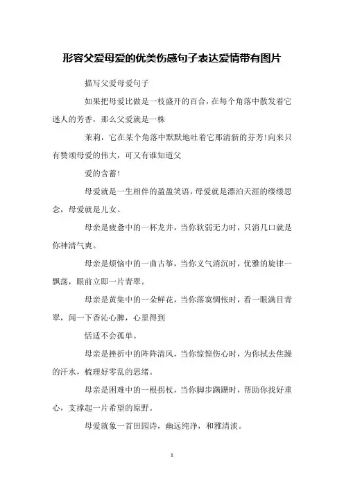 形容父爱母爱的优美伤感句子表达爱情带有图片