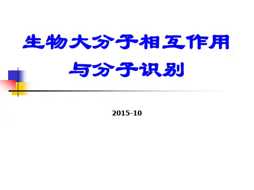 生物大分子相互作用与分子识别