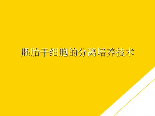 胚胎干细胞的分离培养技术(最全版)PTT文档