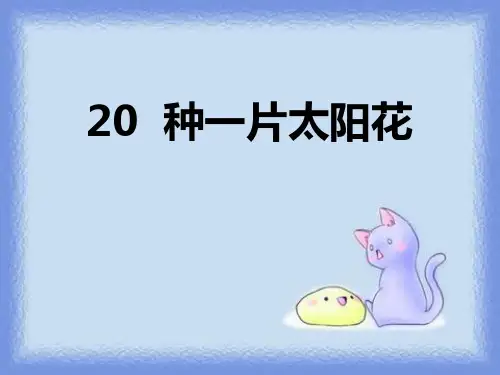 《种一片太阳花》(ppt)课件