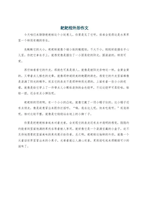 耙耙柑外形作文