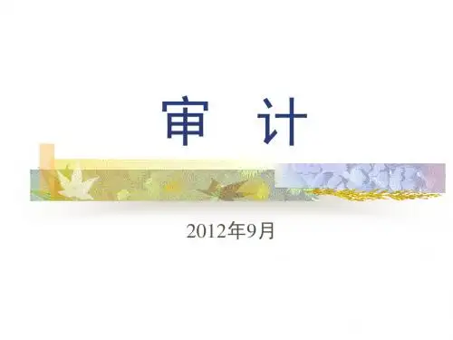 第01章 注册会计师审计职业特点