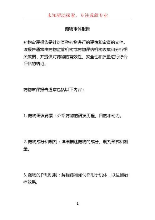 药物审评报告