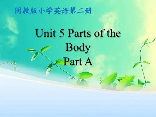 闽教版英语三年级下册   Unit 5 Parts of the Body Part A 课件