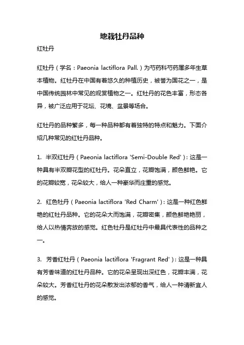 地栽牡丹品种