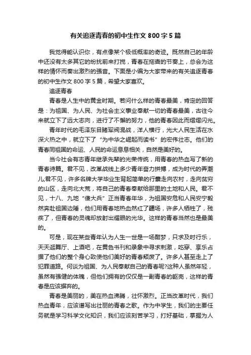 有关追逐青春的初中生作文800字5篇