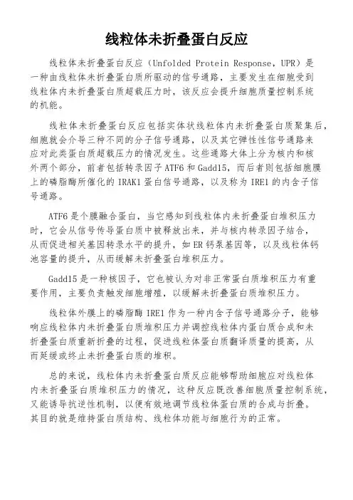线粒体未折叠蛋白反应