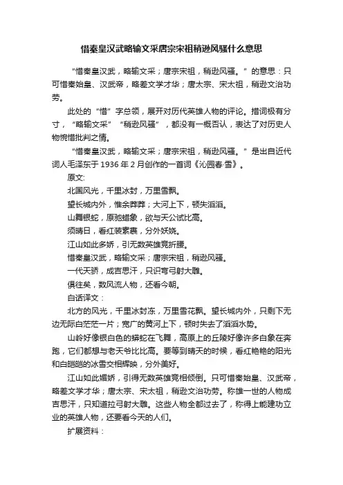 惜秦皇汉武略输文采唐宗宋祖稍逊风骚什么意思