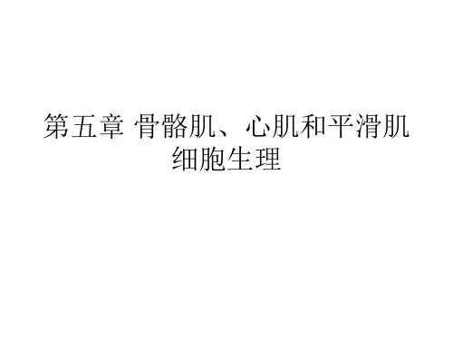 骨骼肌心肌和平滑肌
