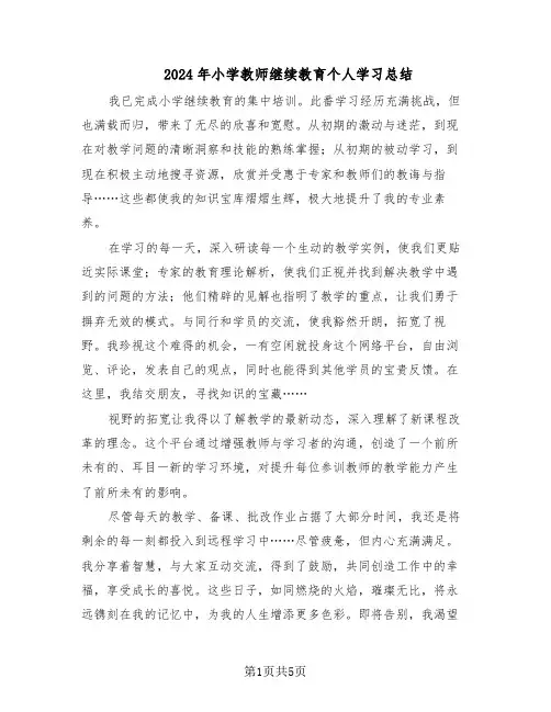 2024年小学教师继续教育个人学习总结（3篇）
