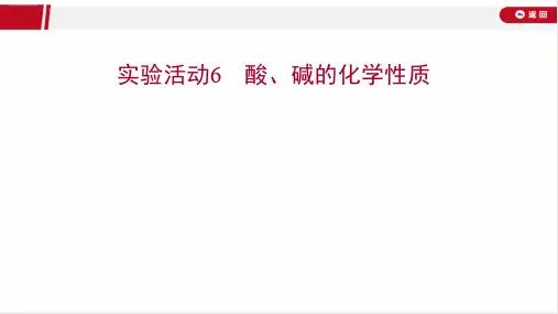 最新人教版九年级下册化学实验活动6 酸、碱的化学性质