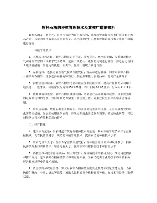 软籽石榴的种植管理技术及其推广措施探析
