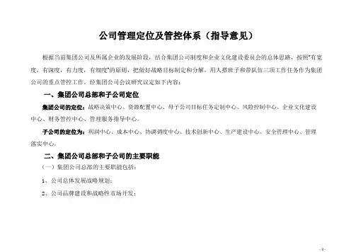 公司定位及管控体系