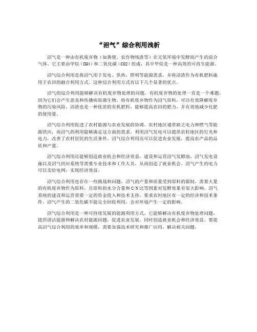 “沼气”综合利用浅析