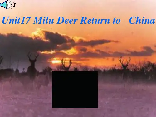 MiluDeerReturntoChinaUnit17MiluDeerReturntoChina[001]