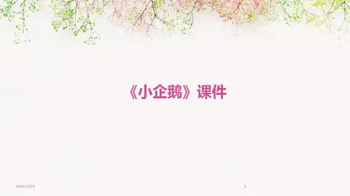 2024年度《小企鹅》课件