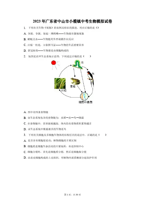 2023年广东省中山市小榄镇中考生物模拟试卷(含解析)
