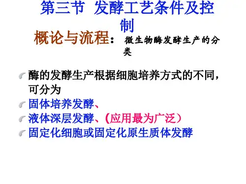 酶工程课件