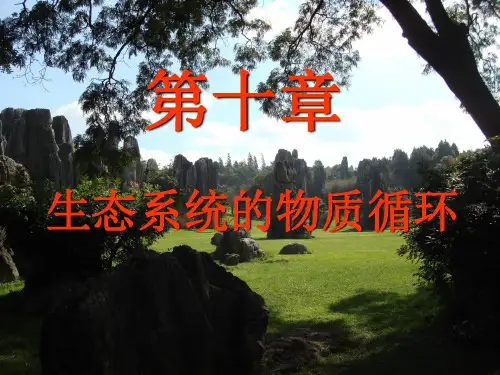 第十章 生态系统的物质循环