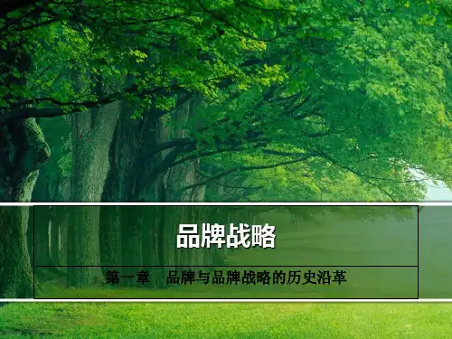 品牌与品牌战略的历史沿革(ppt 74页)