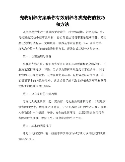 宠物驯养方案助你有效驯养各类宠物的技巧和方法