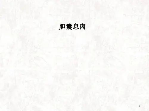 胆囊息肉PPT课件