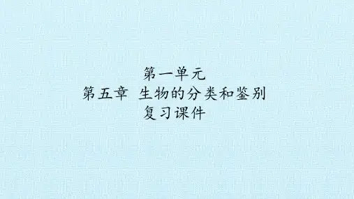 冀教版七年级生物上册：第五章  生物的分类和鉴别  复习课件
