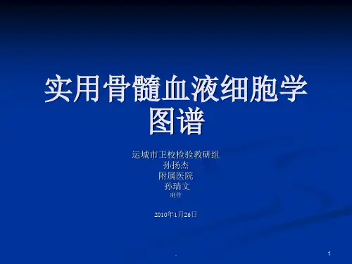 骨髓血液细胞诊断图谱