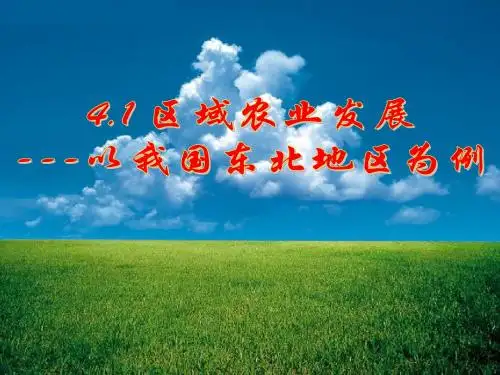 2013.10.12区域农业发展——以我国东北地区为例_最好