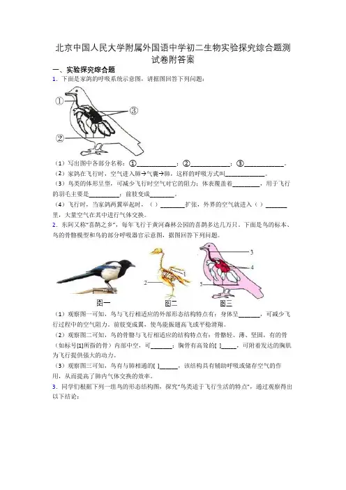 北京中国人民大学附属外国语中学初二生物实验探究综合题测试卷附答案