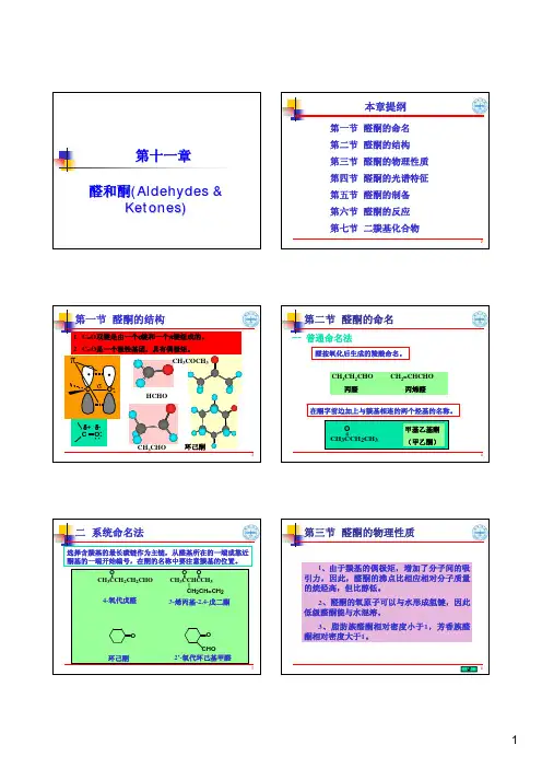 11  基础有机化学(邢其毅、第三版)醛酮