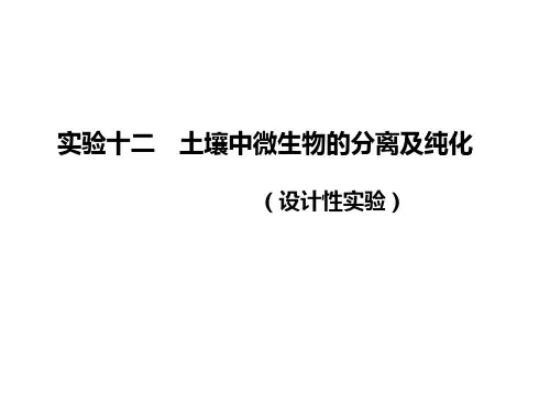 实验十二---土壤中微生物的分离纯化-PPT