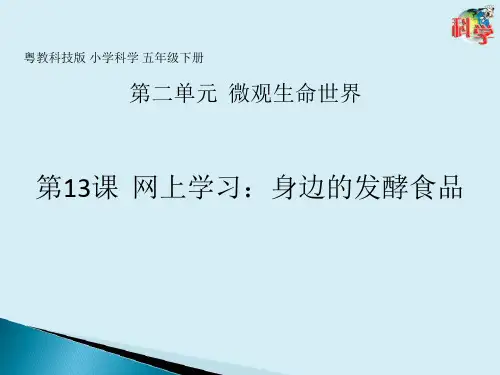 五年级下册科学课件   第13课《网上学习：身边的发酵食品》  粤教版   共12张