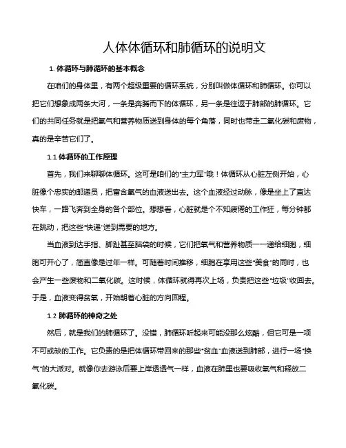 人体体循环和肺循环的说明文