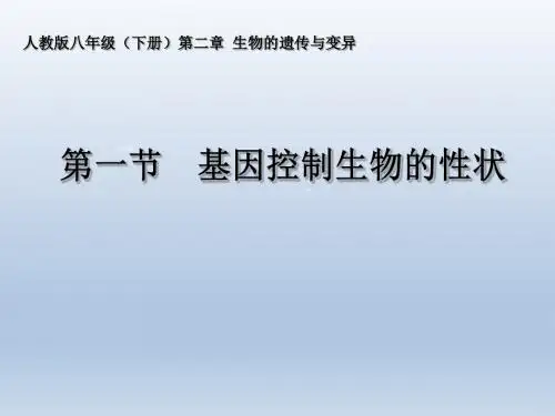 人教课标版生物八年级下册7.2.1基因控制生物的性状(共37张ppt)