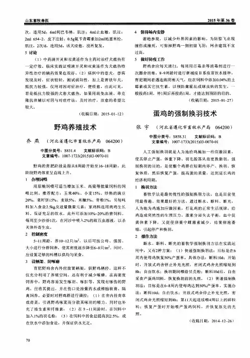 蛋鸡的强制换羽技术