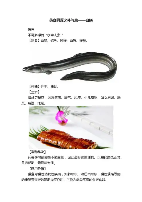 药食同源之补气篇——白鳝