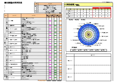 5S技能水平评价表