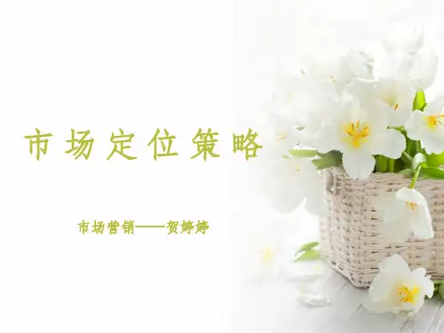 市场定位策略ppt课件