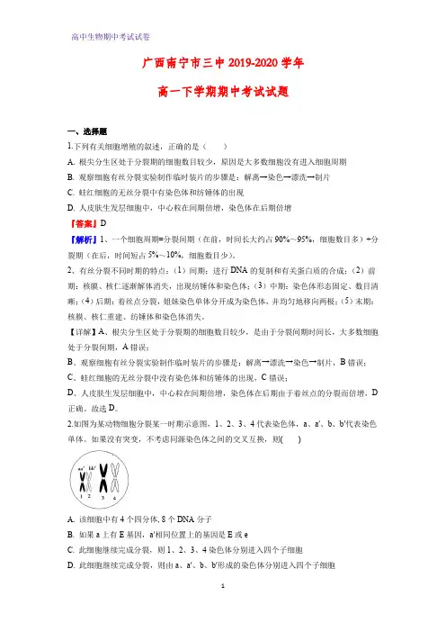 2019-2020学年广西南宁市三中高一下学期期中考试生物试题(解析版)