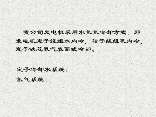 发电机冷却系统PPT课件