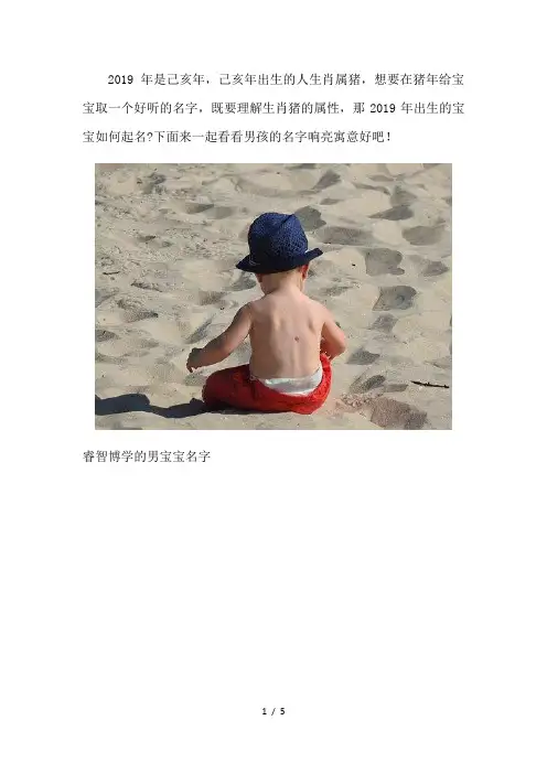 2019年男孩的名字响亮寓意好