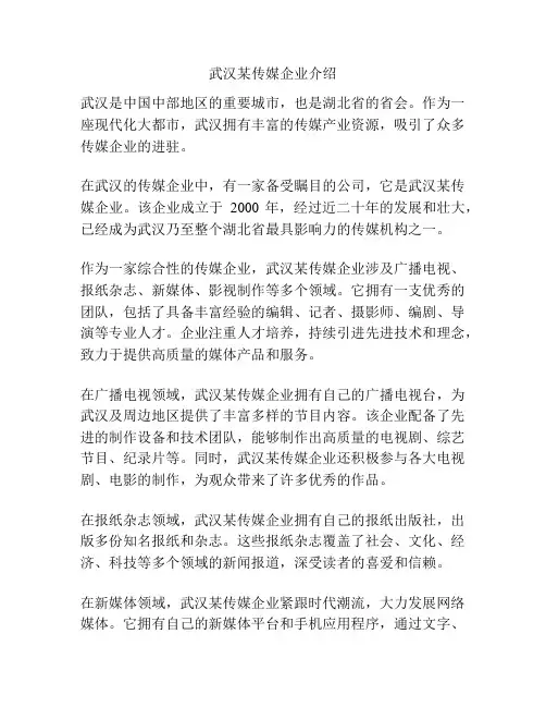 武汉某传媒企业介绍