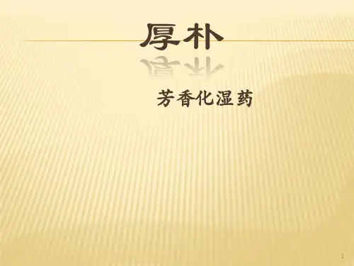 厚朴PPT幻灯片